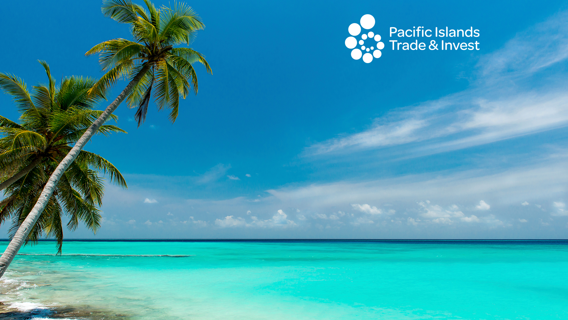 PT&I helping investment and export opportunities in the Pacific Region