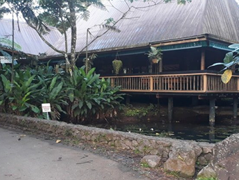 Colo-i-Suva Rainforest Eco Resort